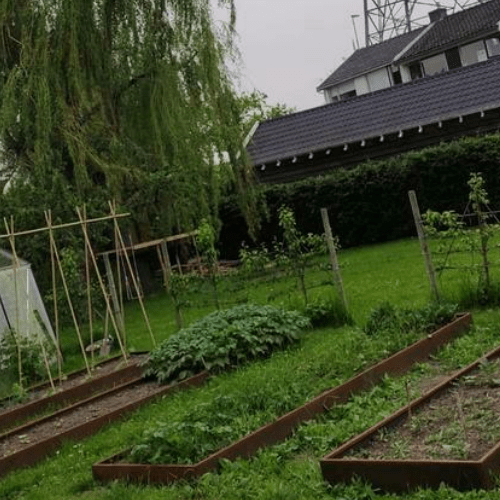 tuin 500